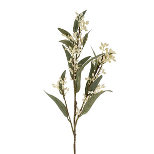 flowering eucalyptus | floral spray