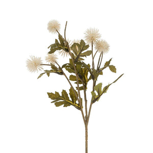 pom pom | floral stem