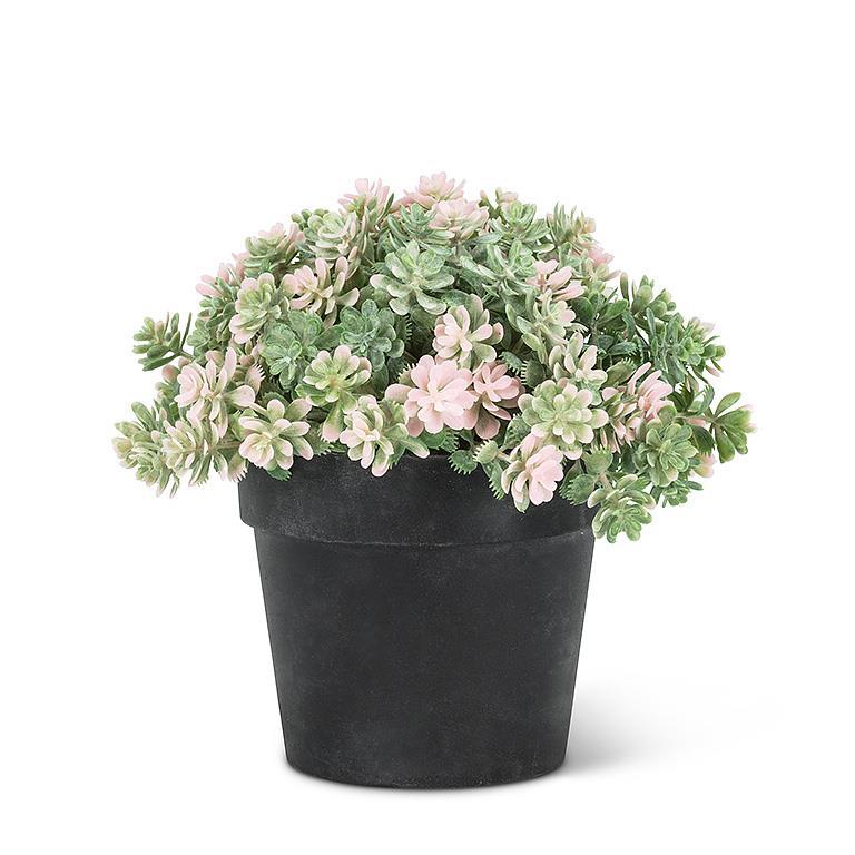 petite flower | pot