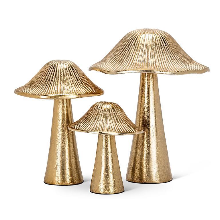 ribbed medium mushroom