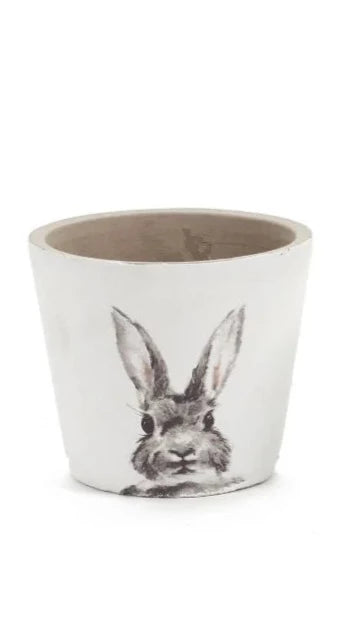 hare | planter