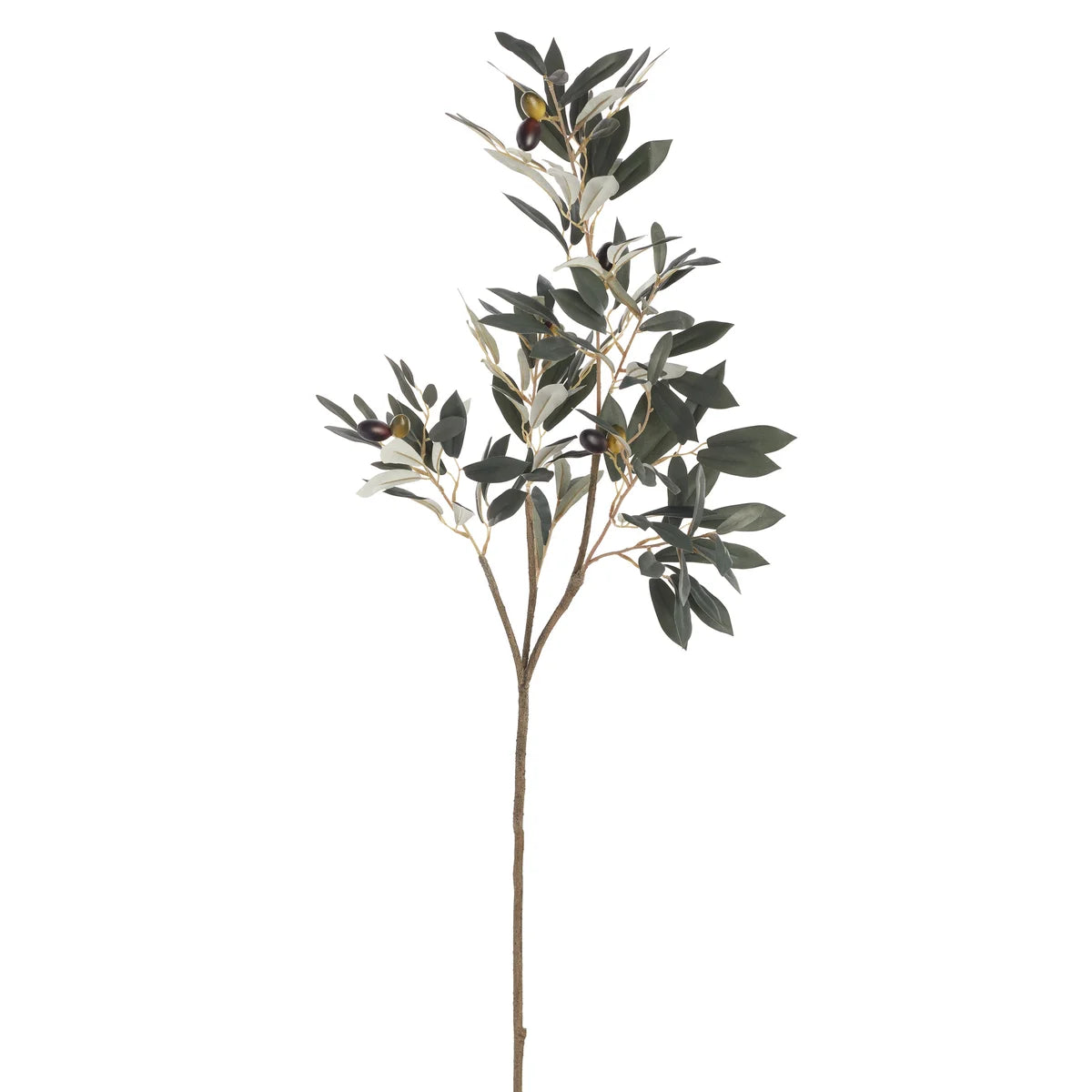 olive branch | spray