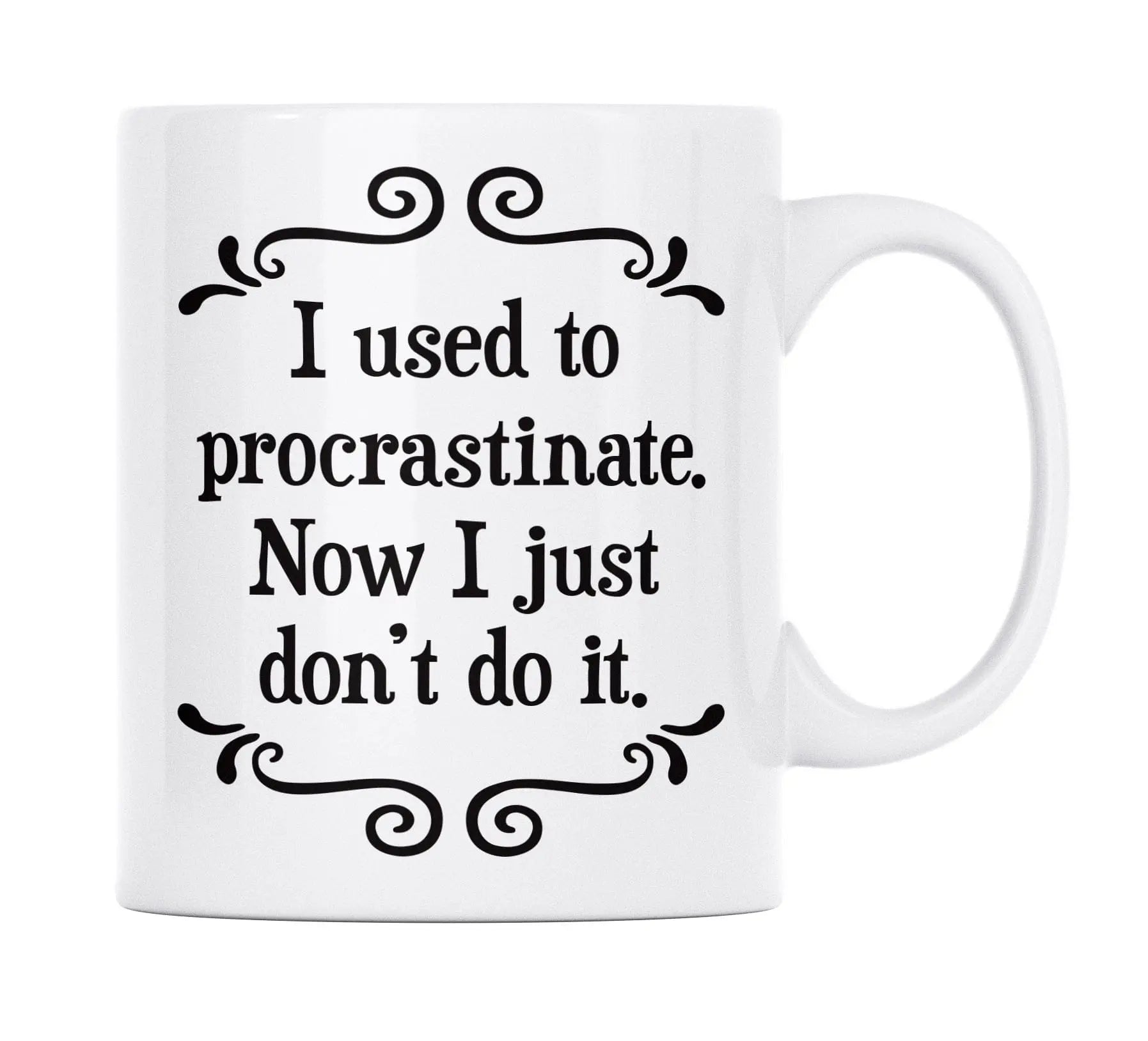 i used to procrastinate | mug