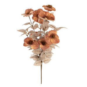 wild poppy | rust stem