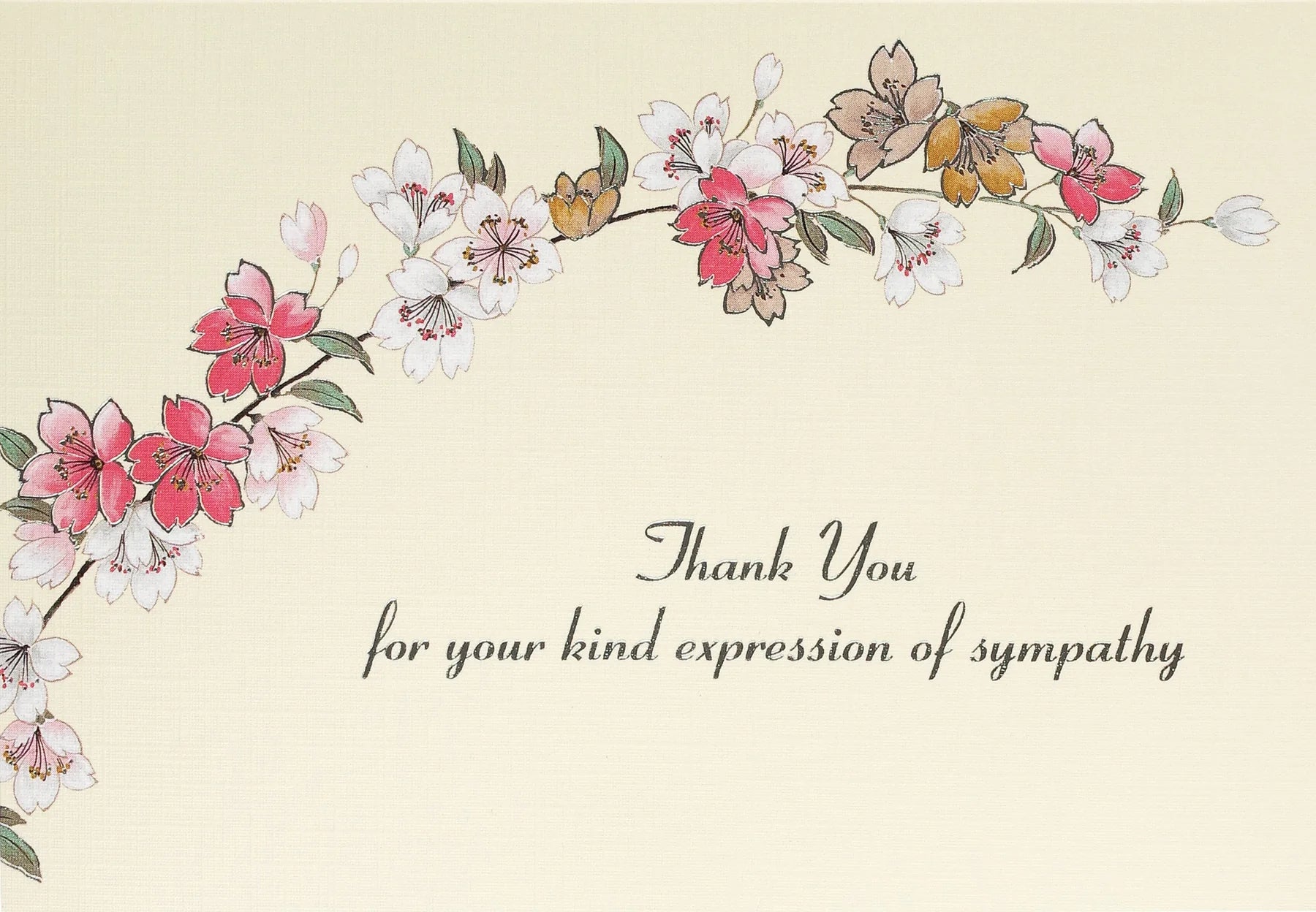 floral | sympathy thank you boxed cards