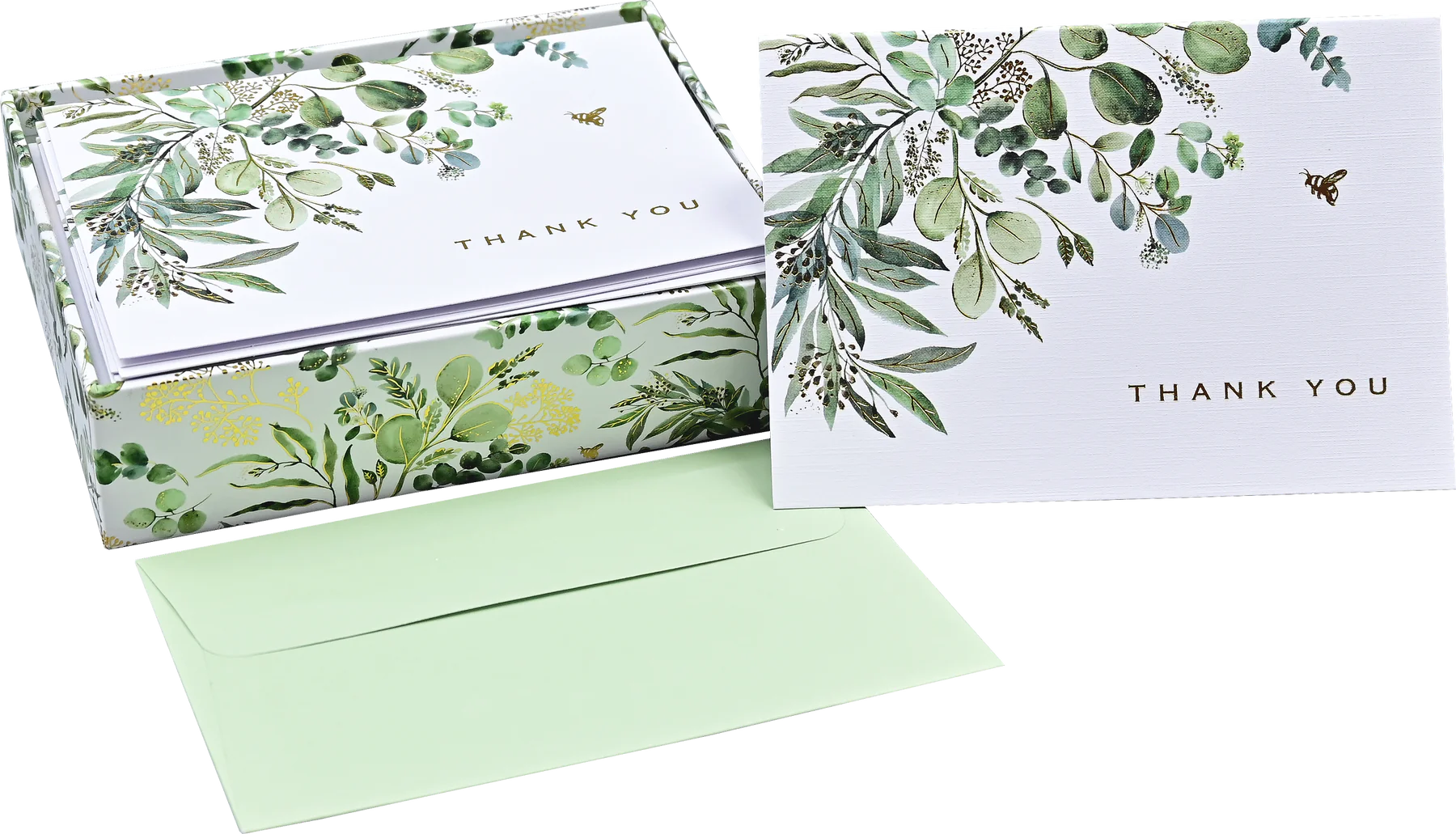 eucalyptus | boxed cards