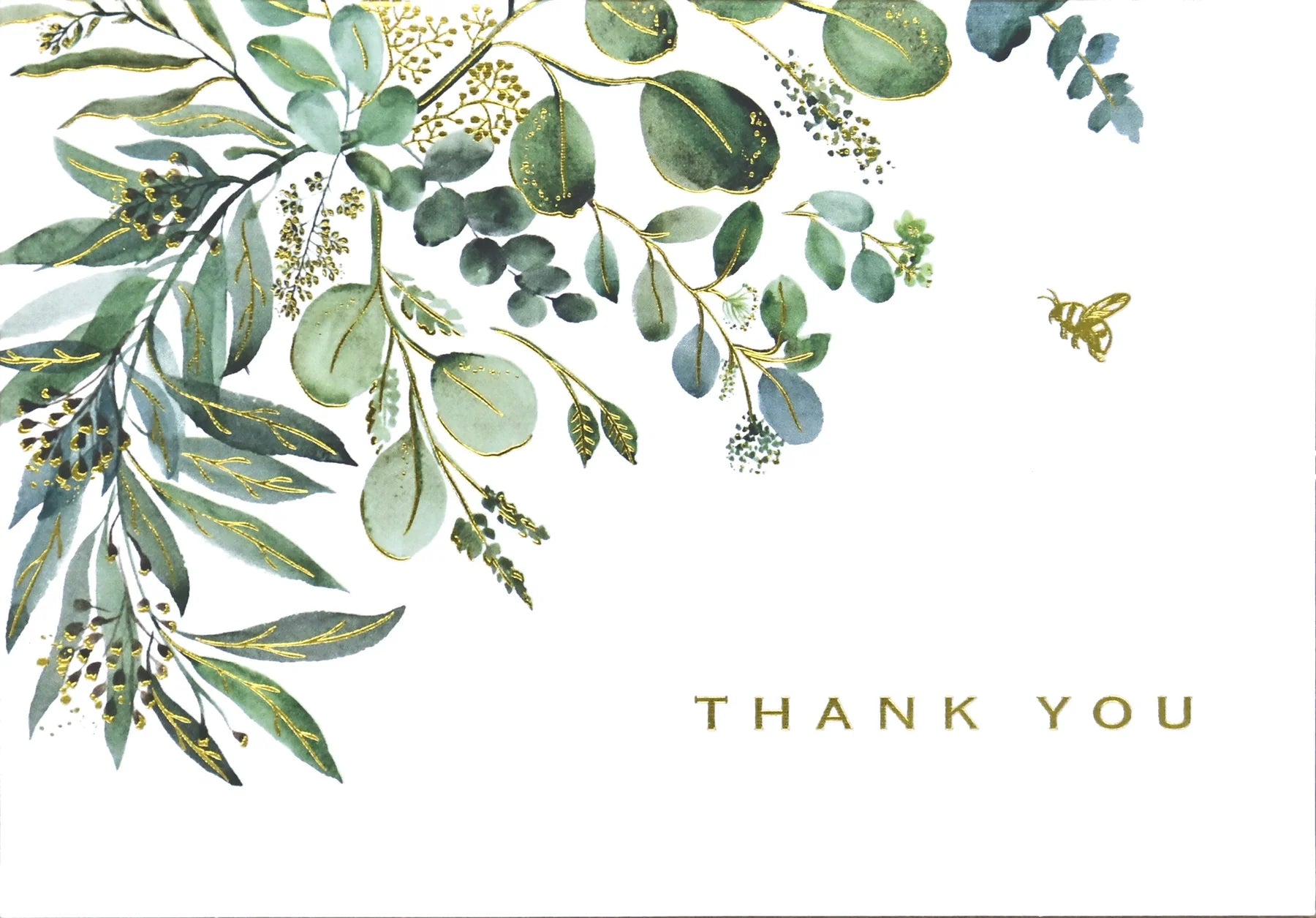 eucalyptus | boxed cards