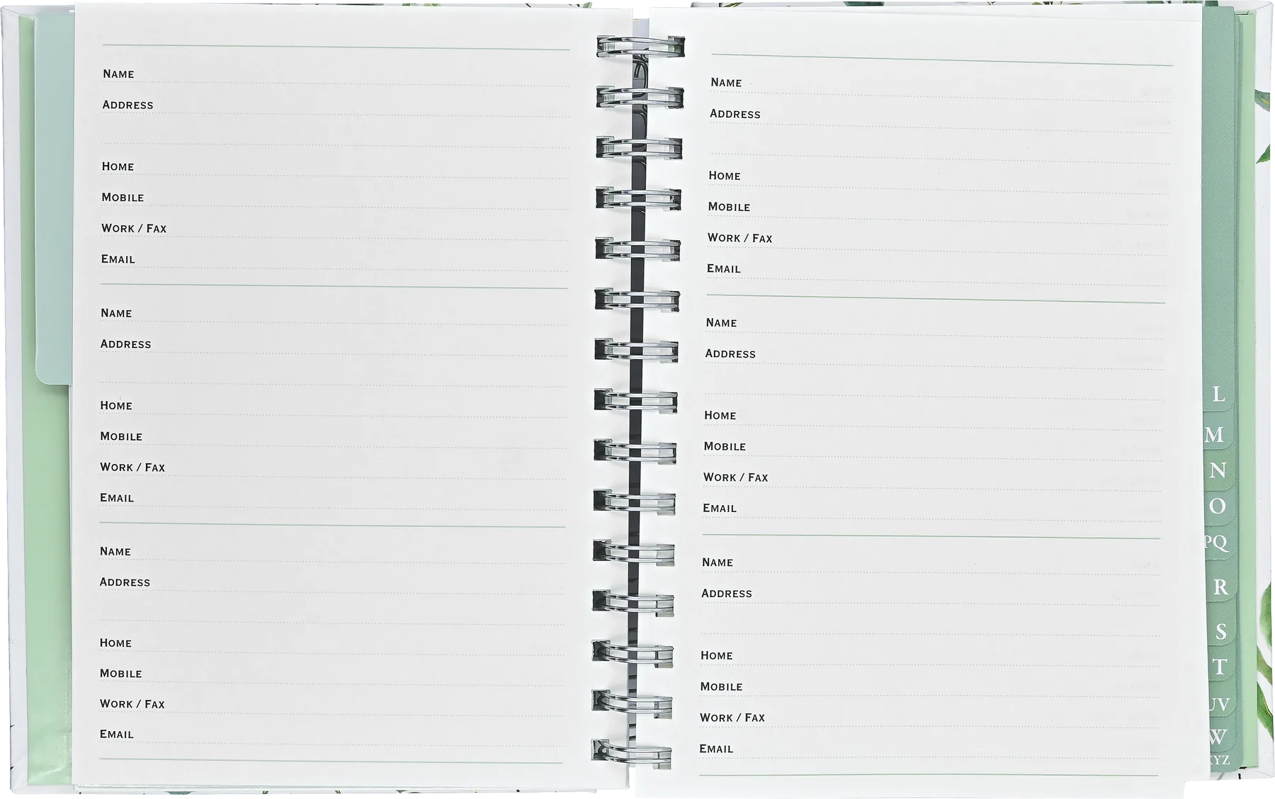 eucalyptus | large address book