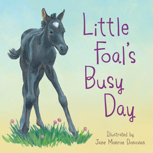 little foal's busy day | book