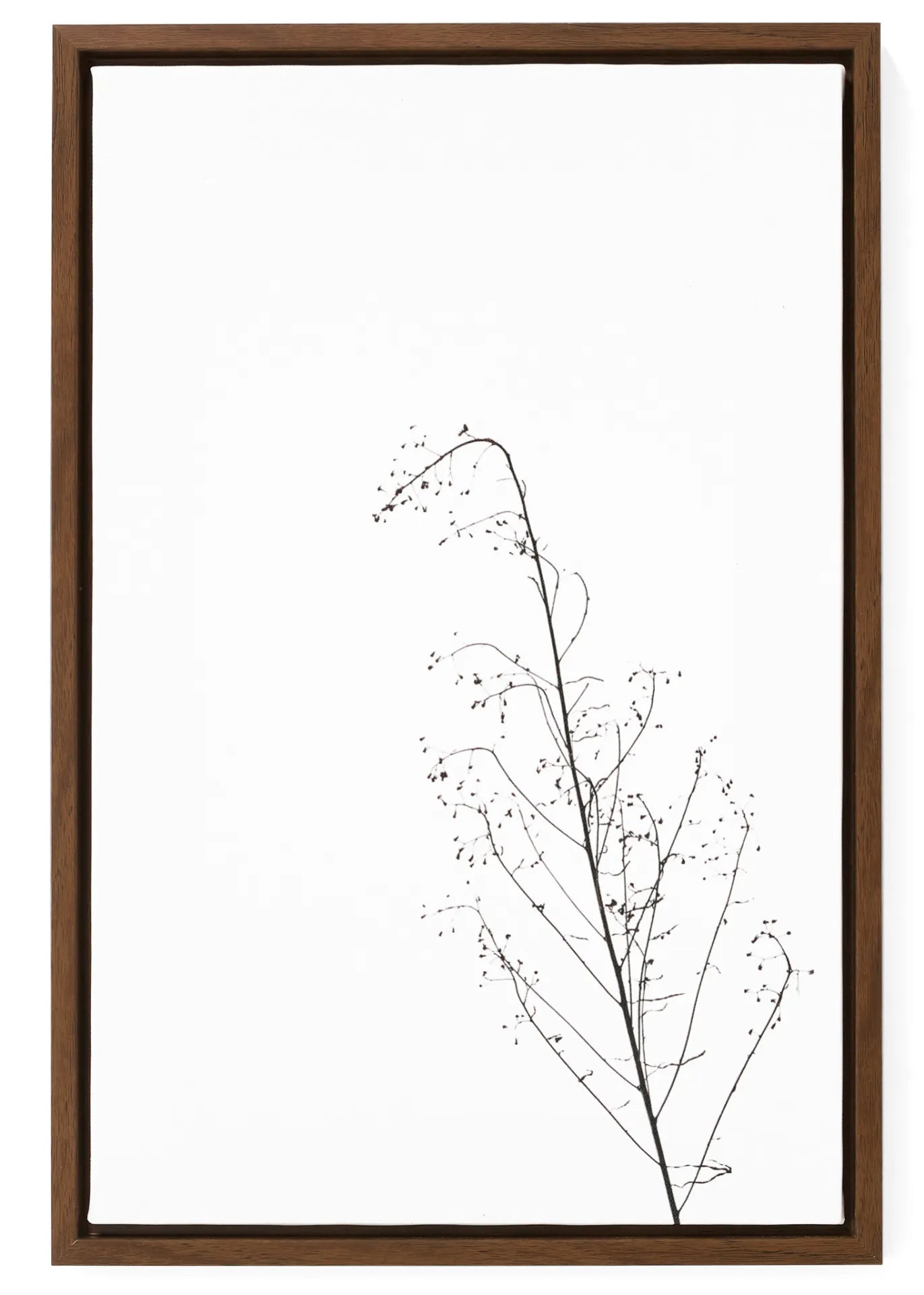 branch | wall art