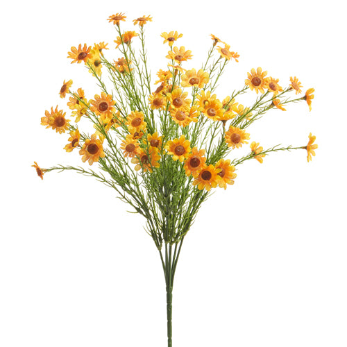 yellow daisy | 15" stem bundle