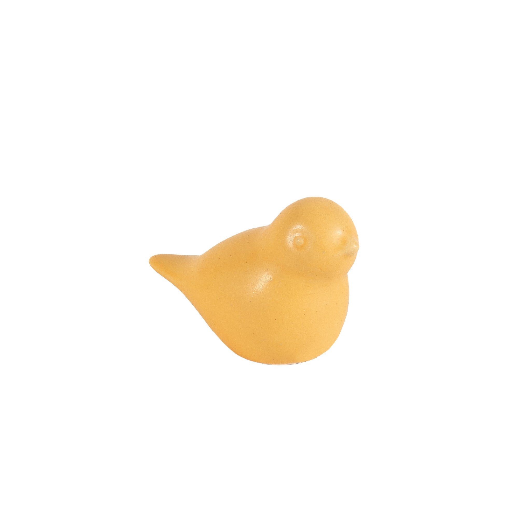 yellow | small bird