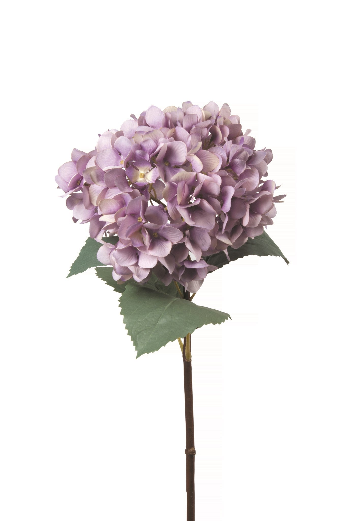 purple | hydrangea spray