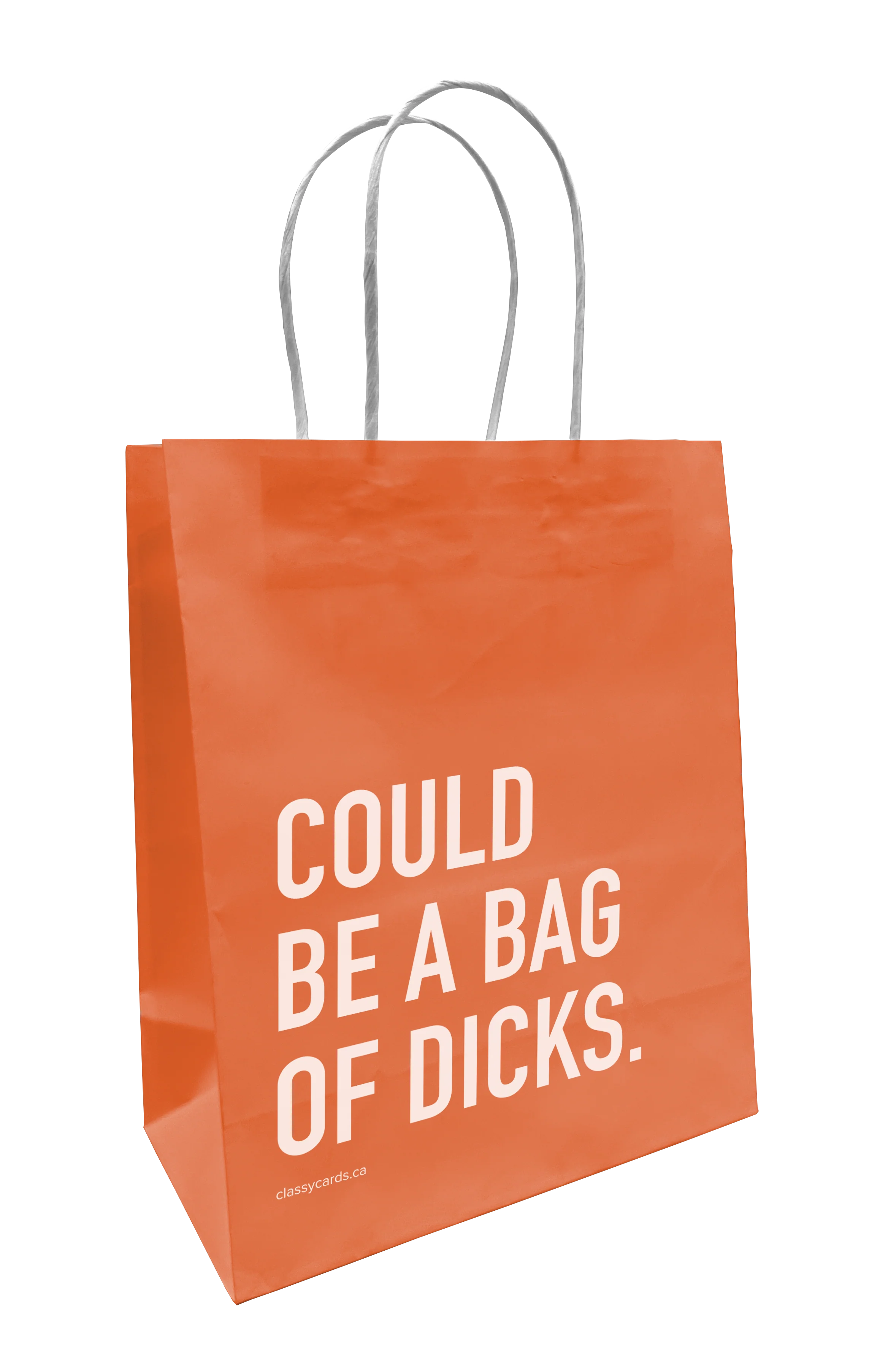 could be a bag | sweary gift bag