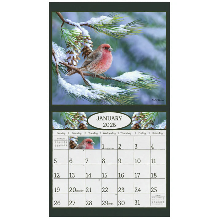 beauty of songbirds | 2025 calendar