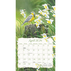 songbirds | 2024 calendar