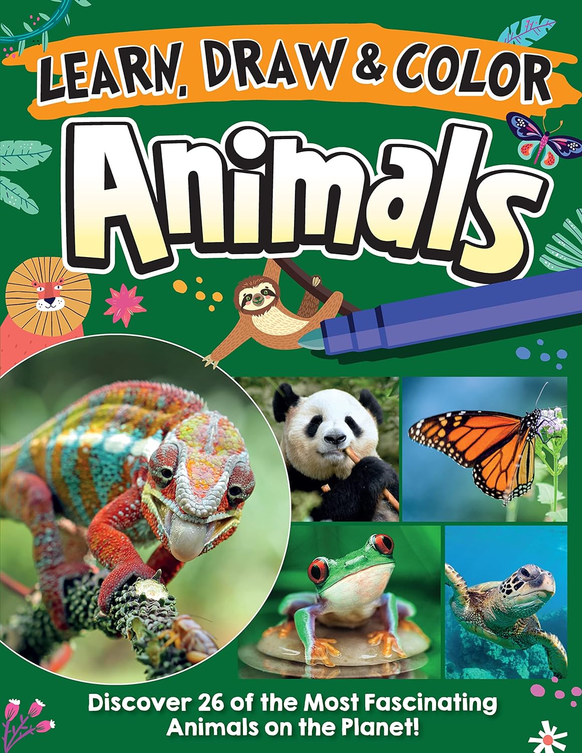 animals | learn draw colour book