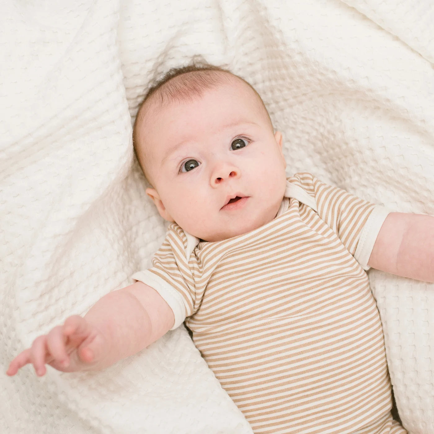 creamy vanilla | waffle swaddle