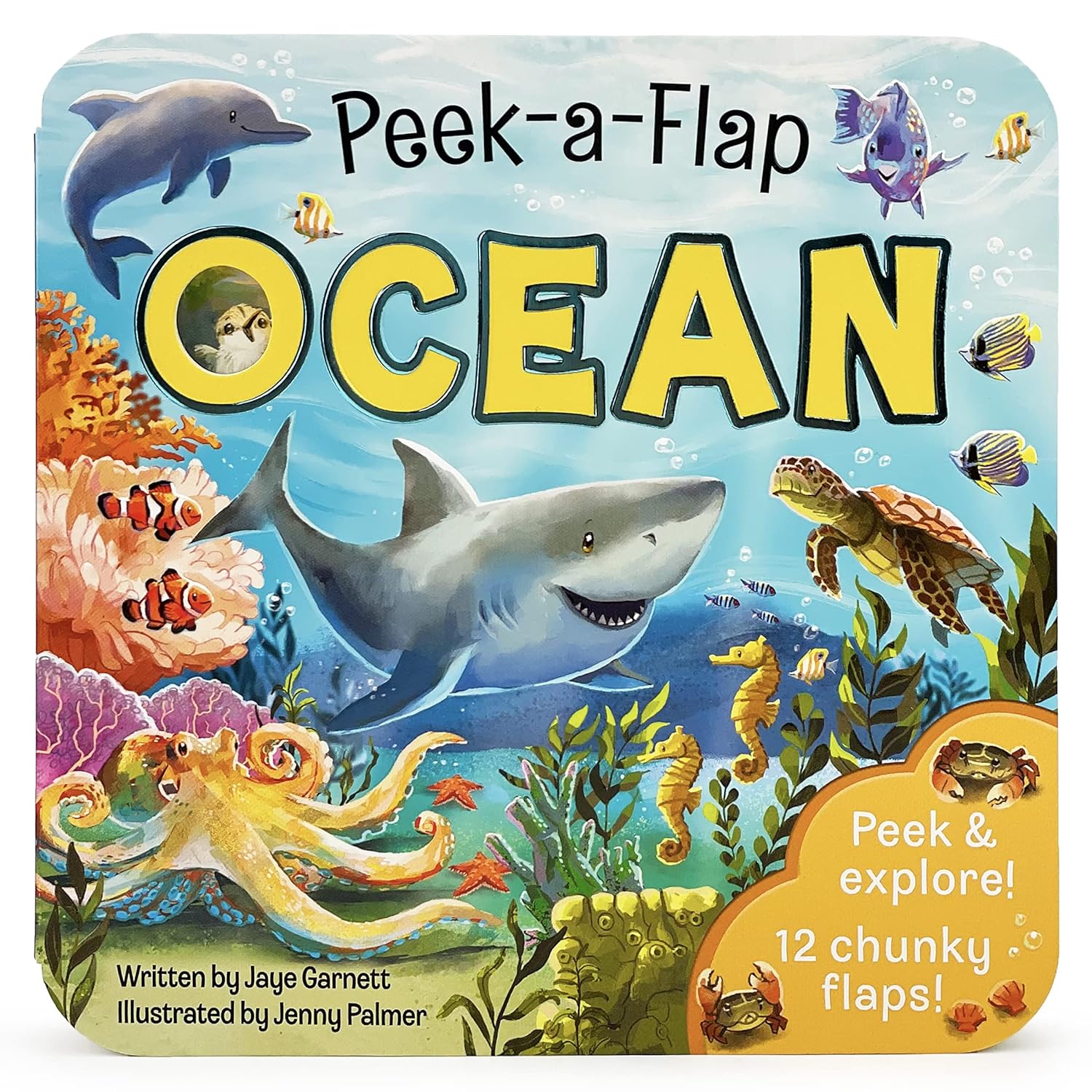 ocean | peek a flap book