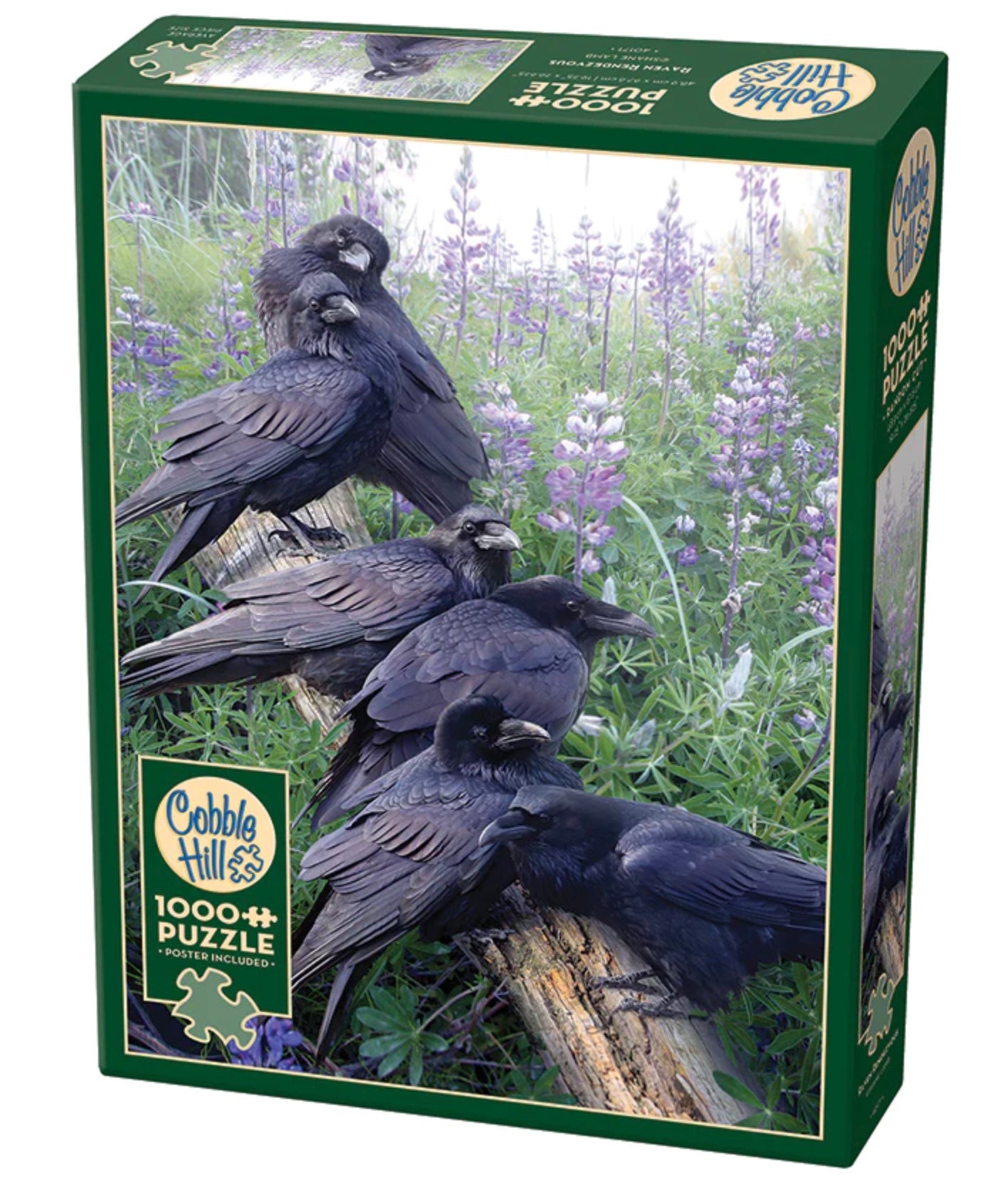 1000 pc birds raven rendezvous | puzzle