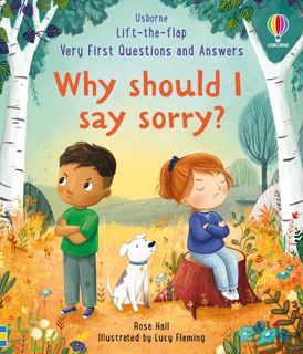 why should i say sorry | book