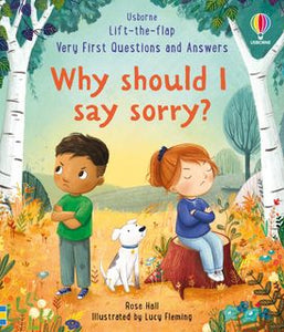 why should i say sorry | book