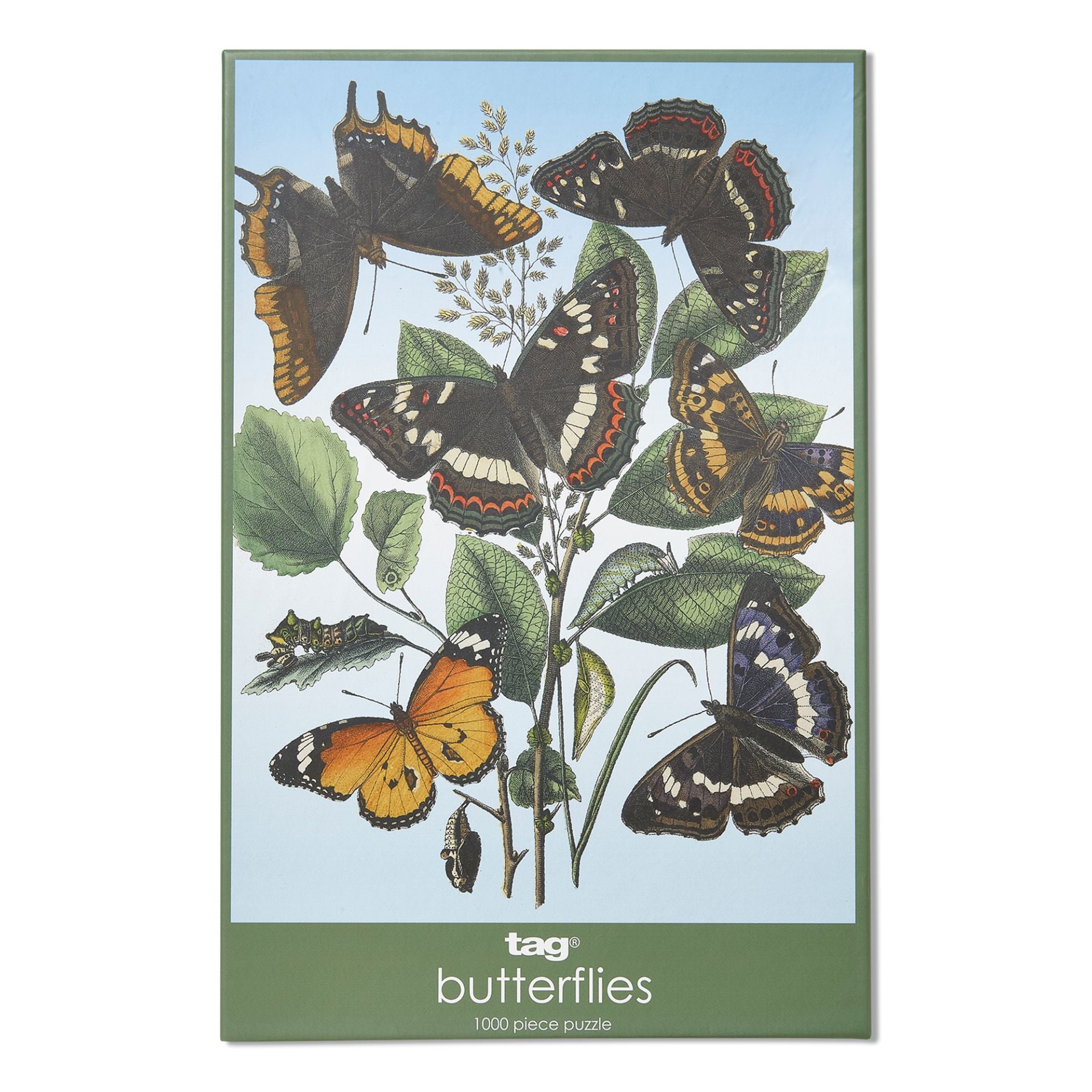 1000 pc butterflies | puzzle