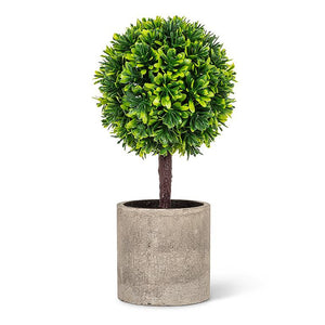 boxwood topiary | pot