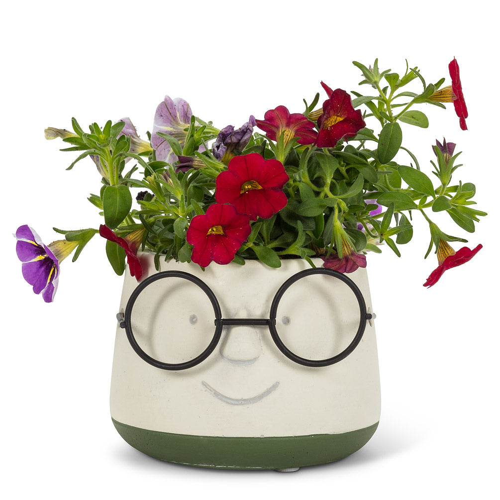 IQ planter | small planter