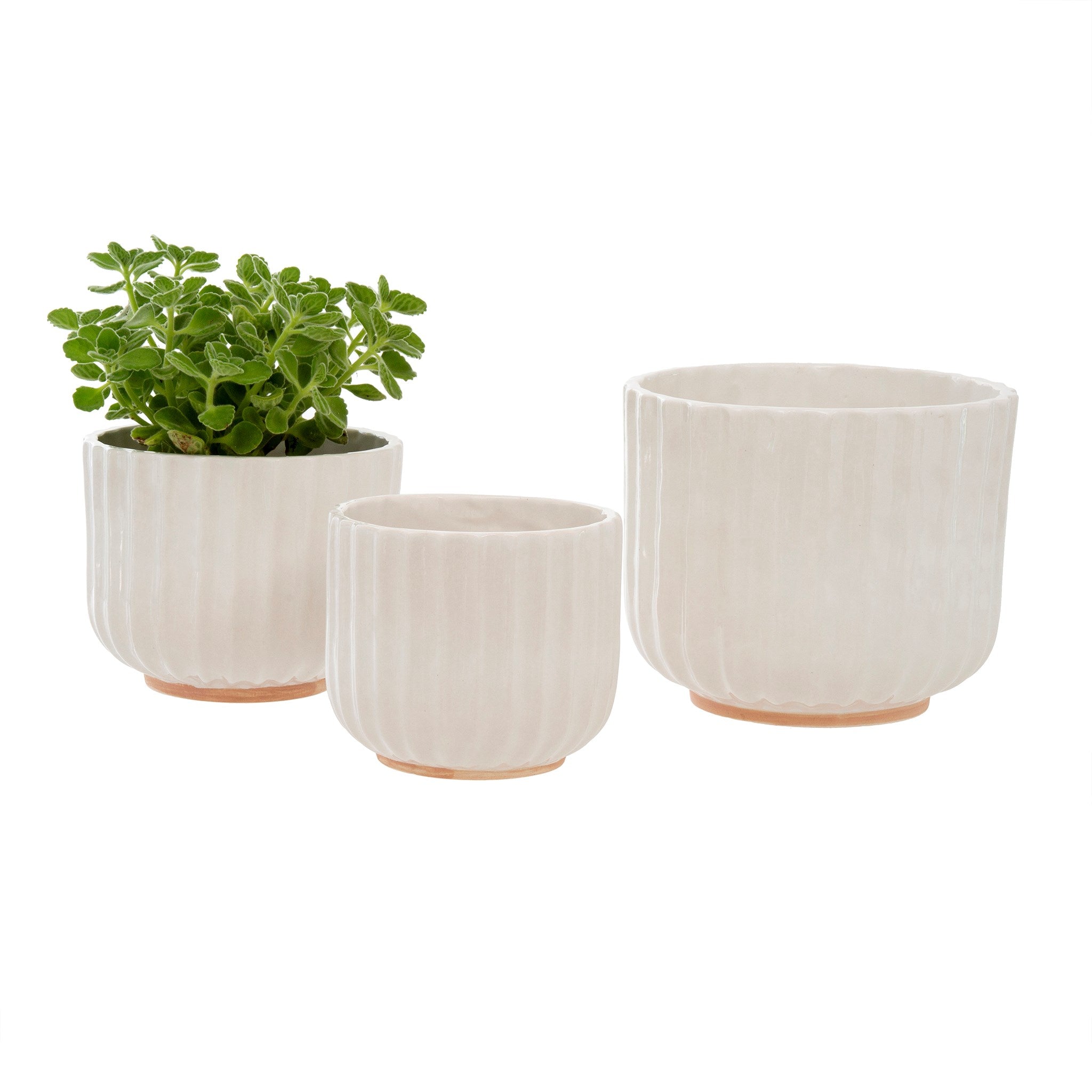 granada | planters