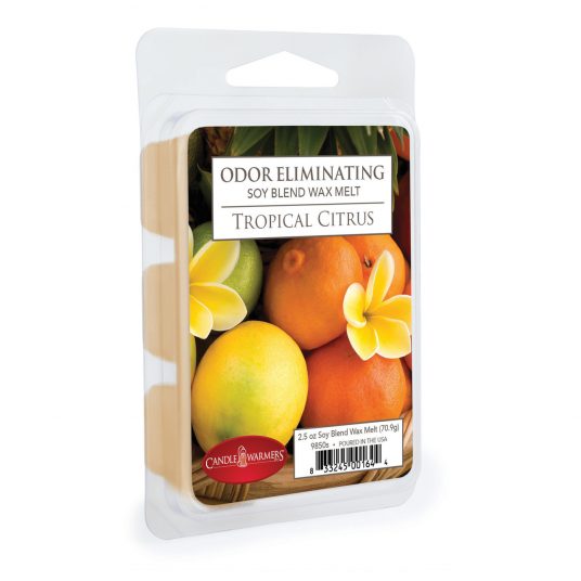 tropical citrus | wax melts