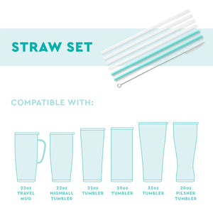 rainbow + aqua | tall reusable straws