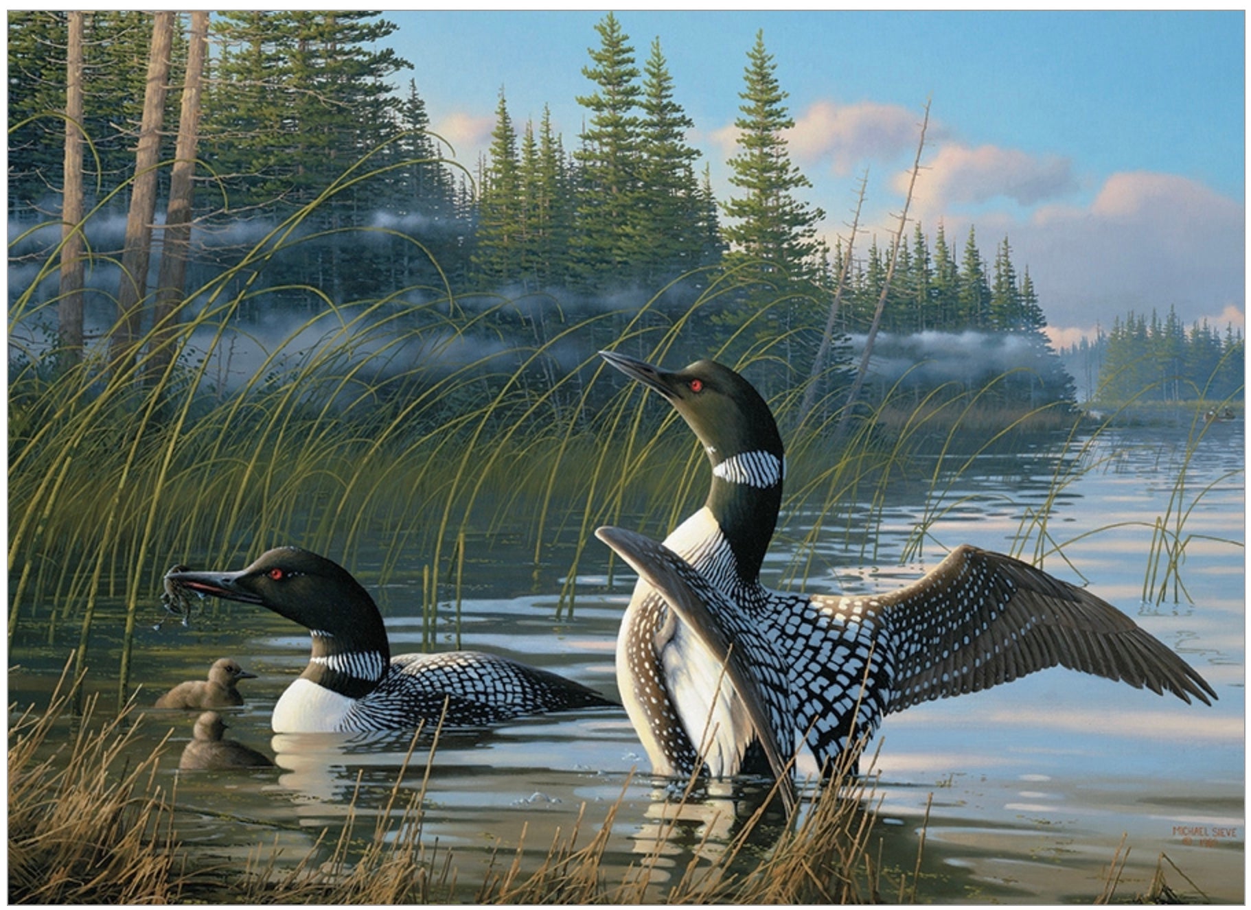 1000 pc common loons | puzzle