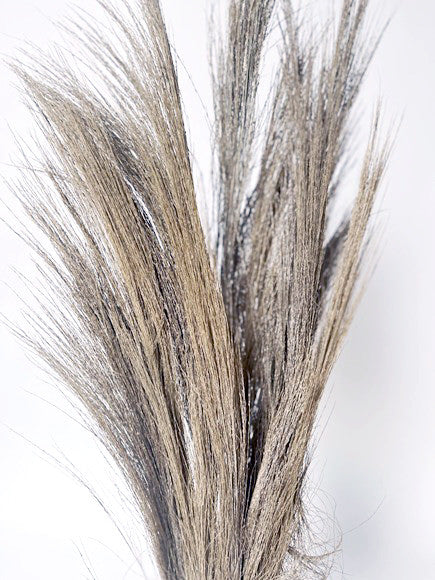 broom grass grey wash | dried botanicals