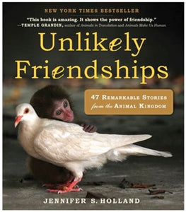 unlikely friendships | book